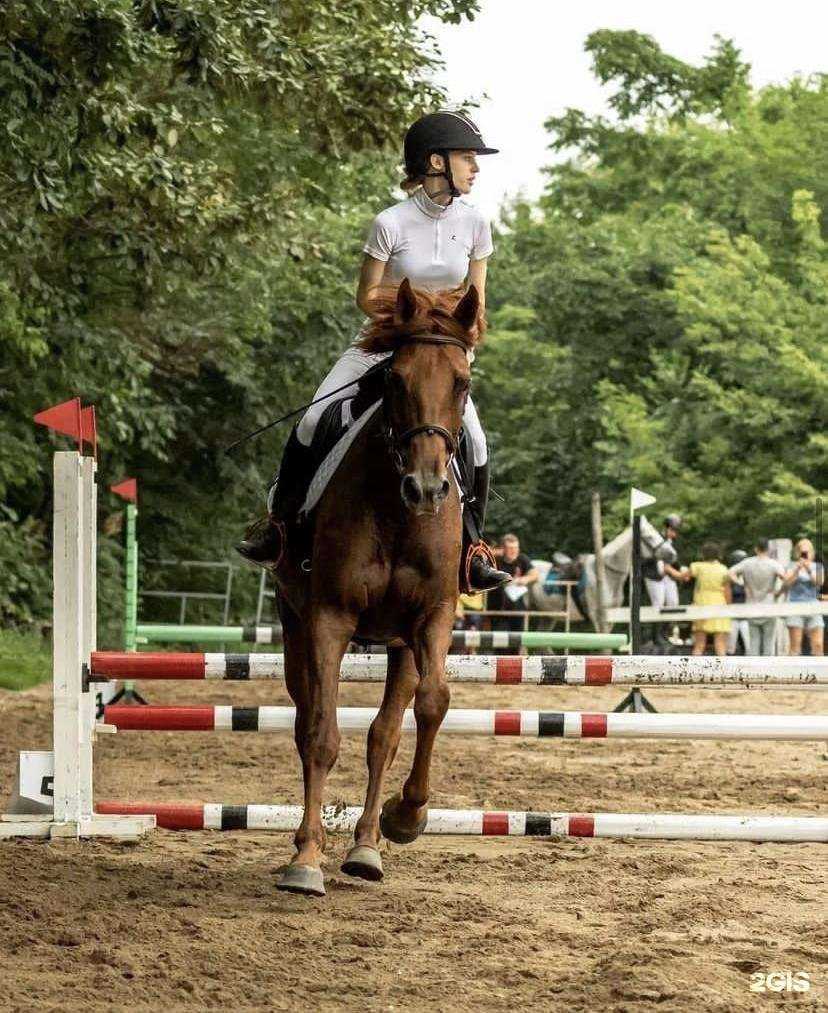 Отзывы на компанию Грация в г. Уссурийск c фото