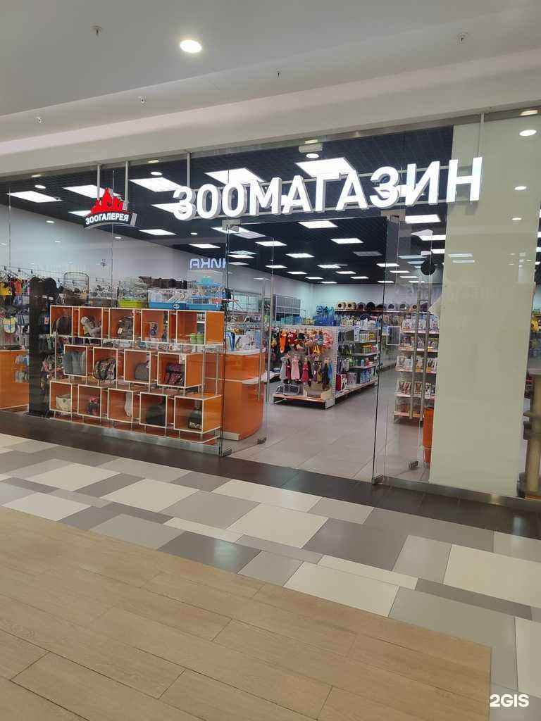 Отзывы на компанию Зоогалерея в Липецке c фото