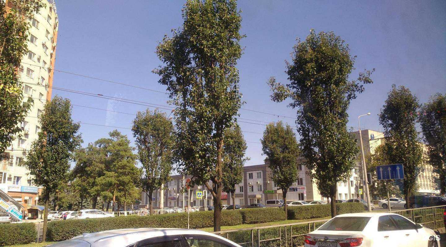 Отзывы на компанию Европейские лаборатории в Краснодаре c фото - фотография 2 из 2