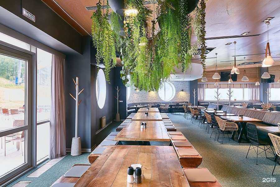 Отзывы на компанию Хаски в Красноярске c фото