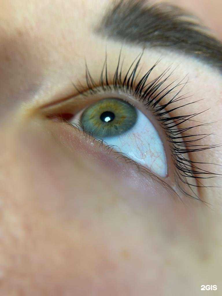 Отзывы на компанию Zebra в г. Вилючинск c фото