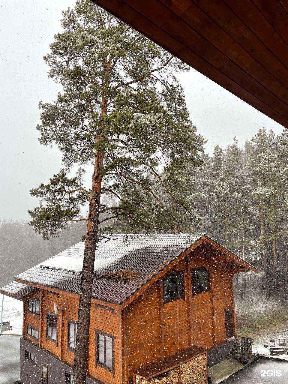 Отзывы на компанию Таежный в г. Новокузнецк c фото