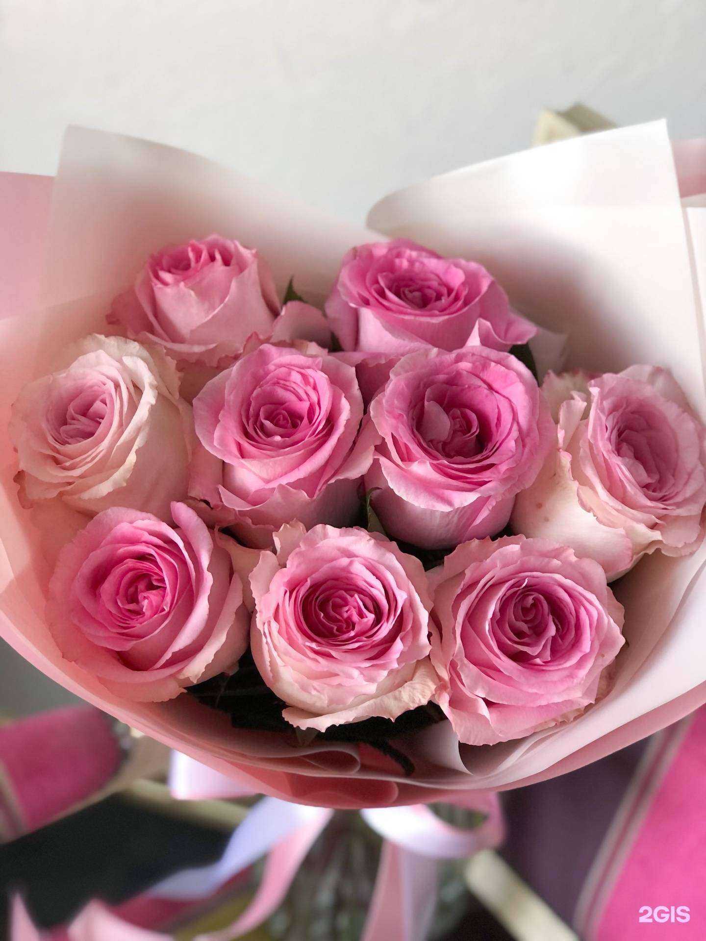 Отзывы на компанию Сандаар в Якутске c фото