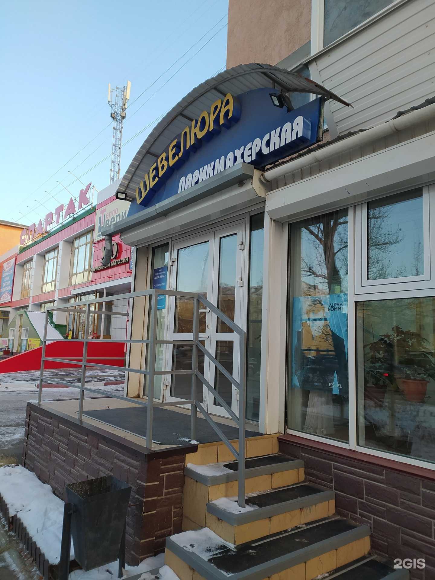 Отзывы на компанию Шевелюра в Омске c фото