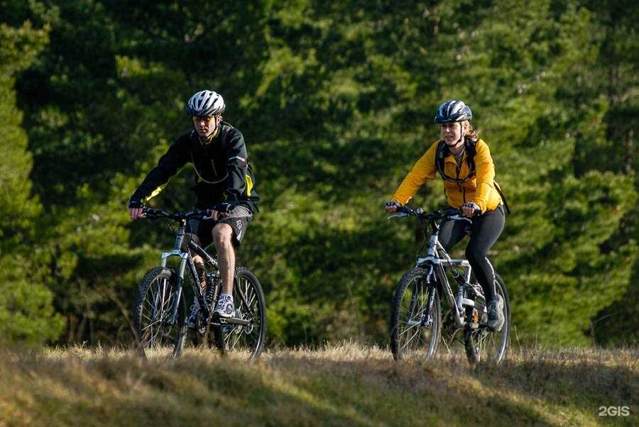 Отзывы на компанию Велодрайв в Томске c фото