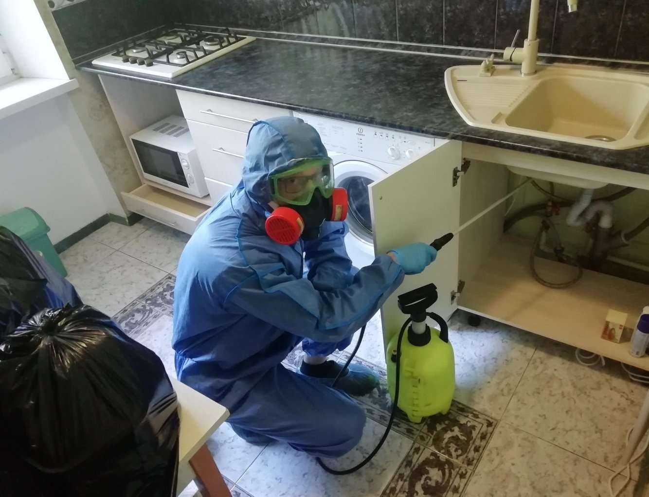 Отзывы на компанию Дезинсектор в г. Барнаул c фото