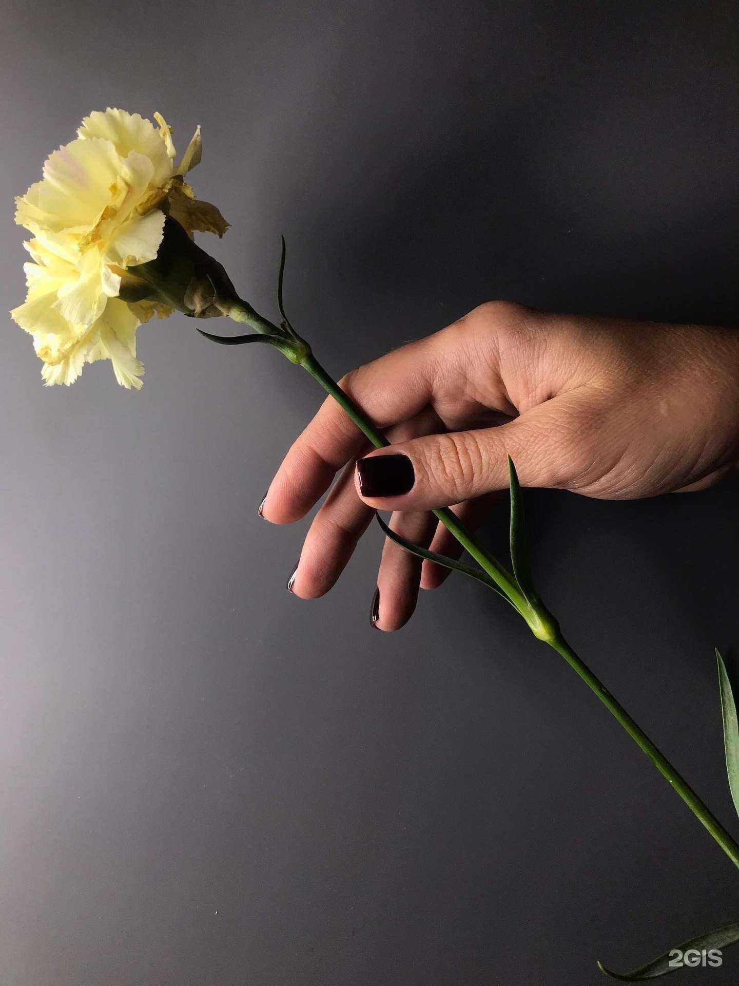 Отзывы на компанию Paralaks в Самаре c фото