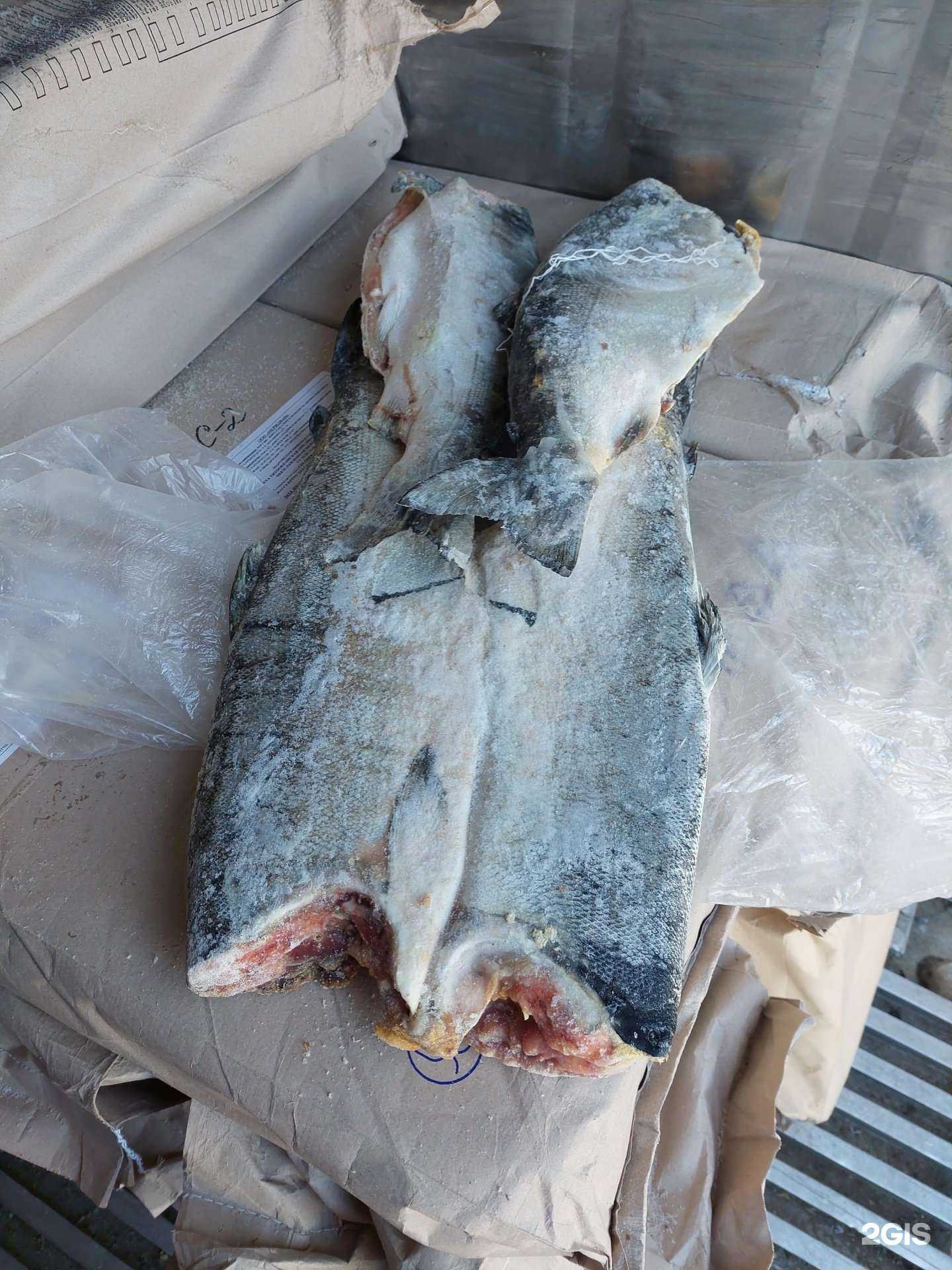 Отзывы на компанию Регионпродторг в Новосибирске c фото