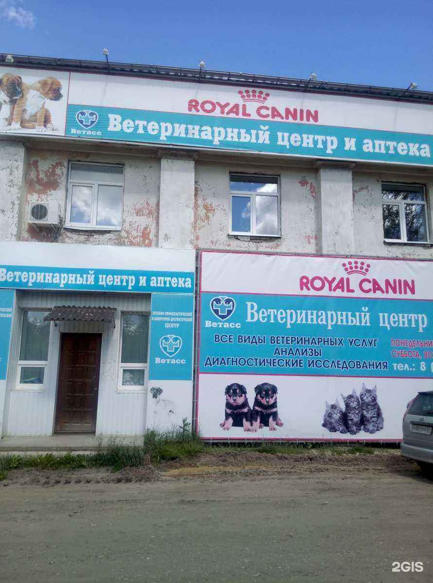 Отзывы на компанию Ветасс в Иванове c фото - фотография 2 из 2