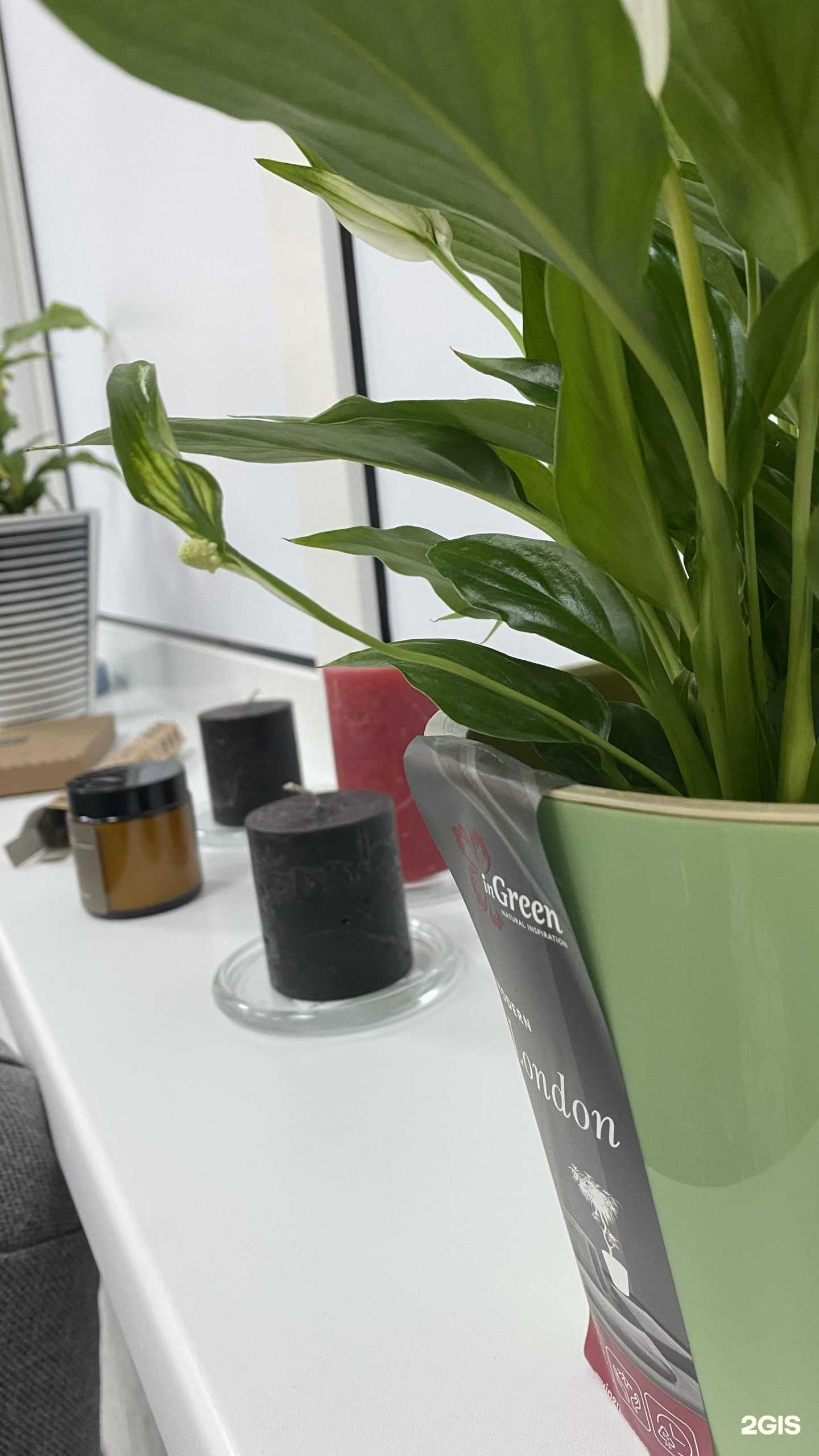 Отзывы на компанию Epil zone в Рязани c фото