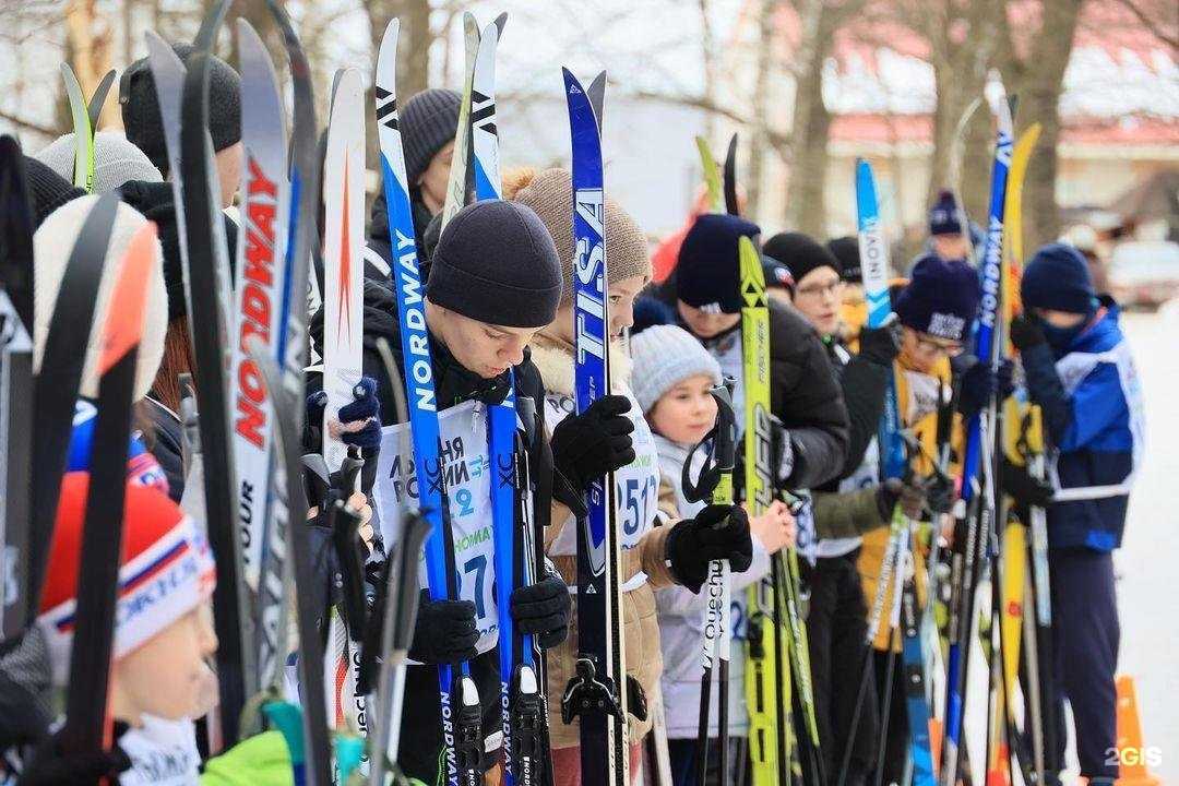 Отзывы на компанию Орбита в Дзержинском c фото