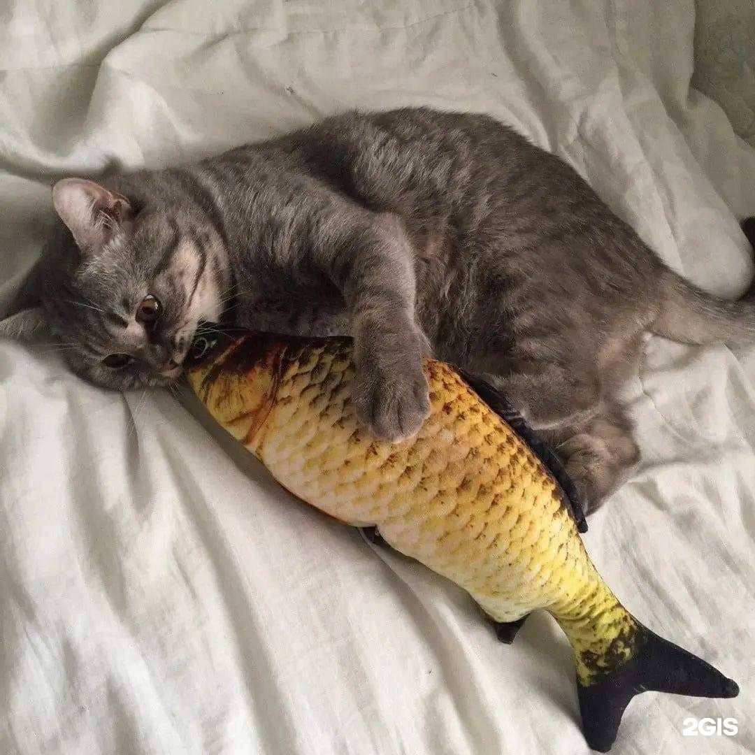 Отзывы на компанию Остров желаний в Кирове c фото