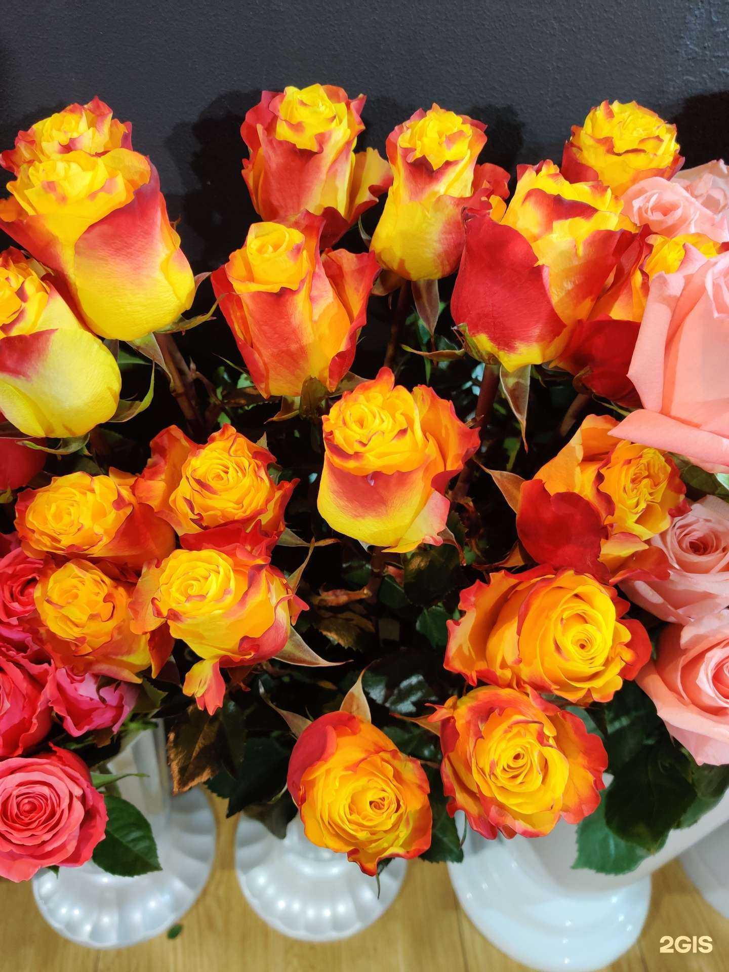 Отзывы на компанию Ricchroza в г. Владивосток c фото