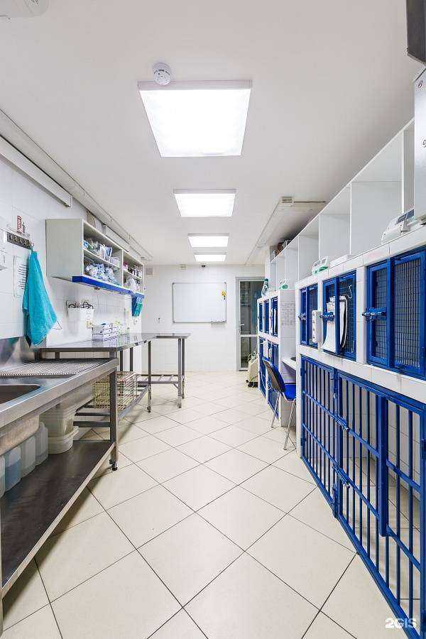 Отзывы на компанию Астин в г. Балашиха c фото