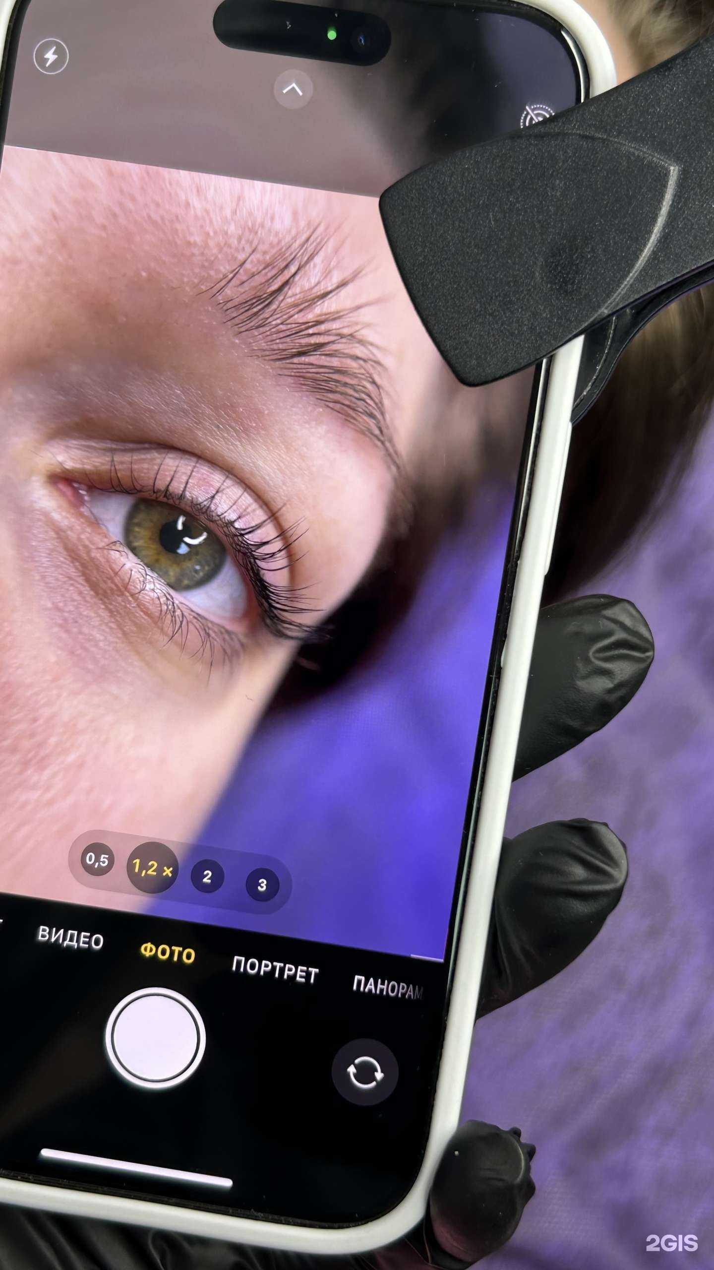 Отзывы на компанию NL в Нижнем Новгороде c фото