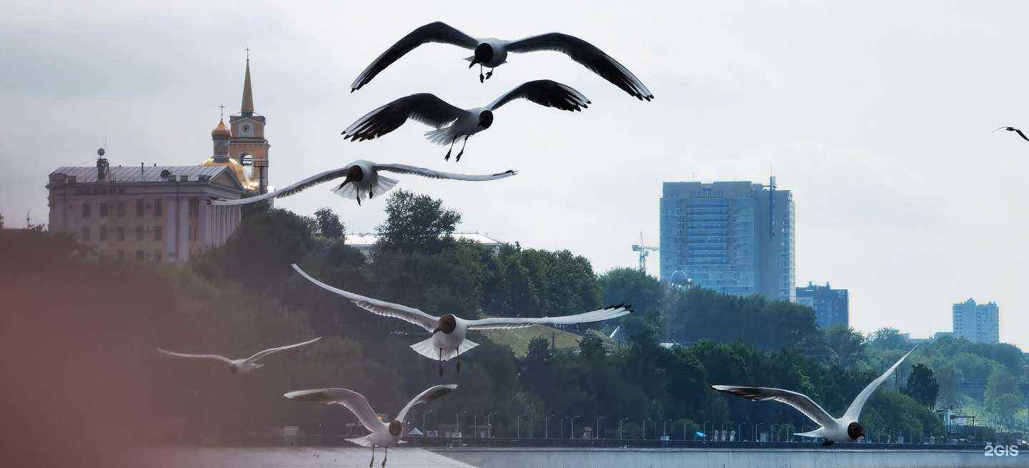 Отзывы на компанию Кама Трапеза в Перми c фото - фотография 2 из 2