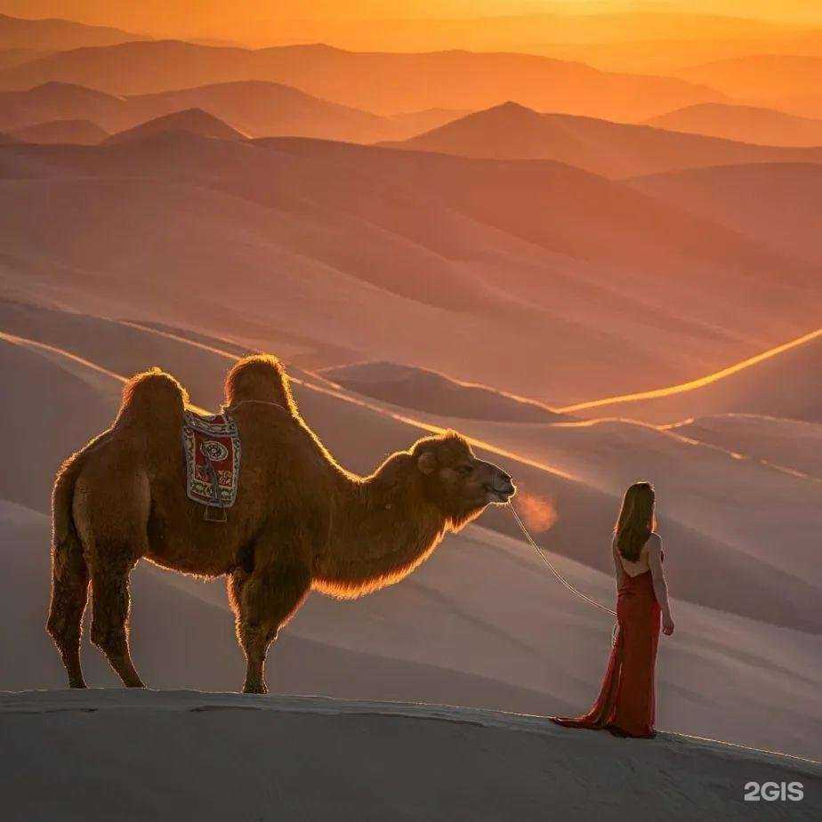 Отзывы на компанию Диалог народов в г. Артём c фото