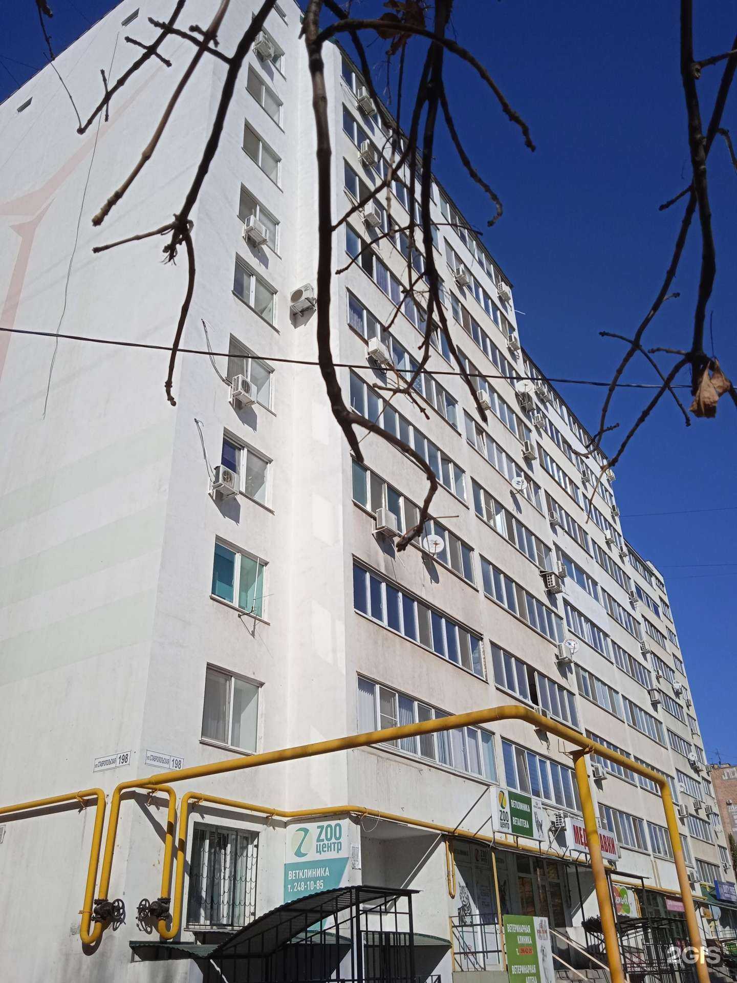 Отзывы на компанию Клиника ветеринарной медицины в Самаре c фото - фотография 2 из 2