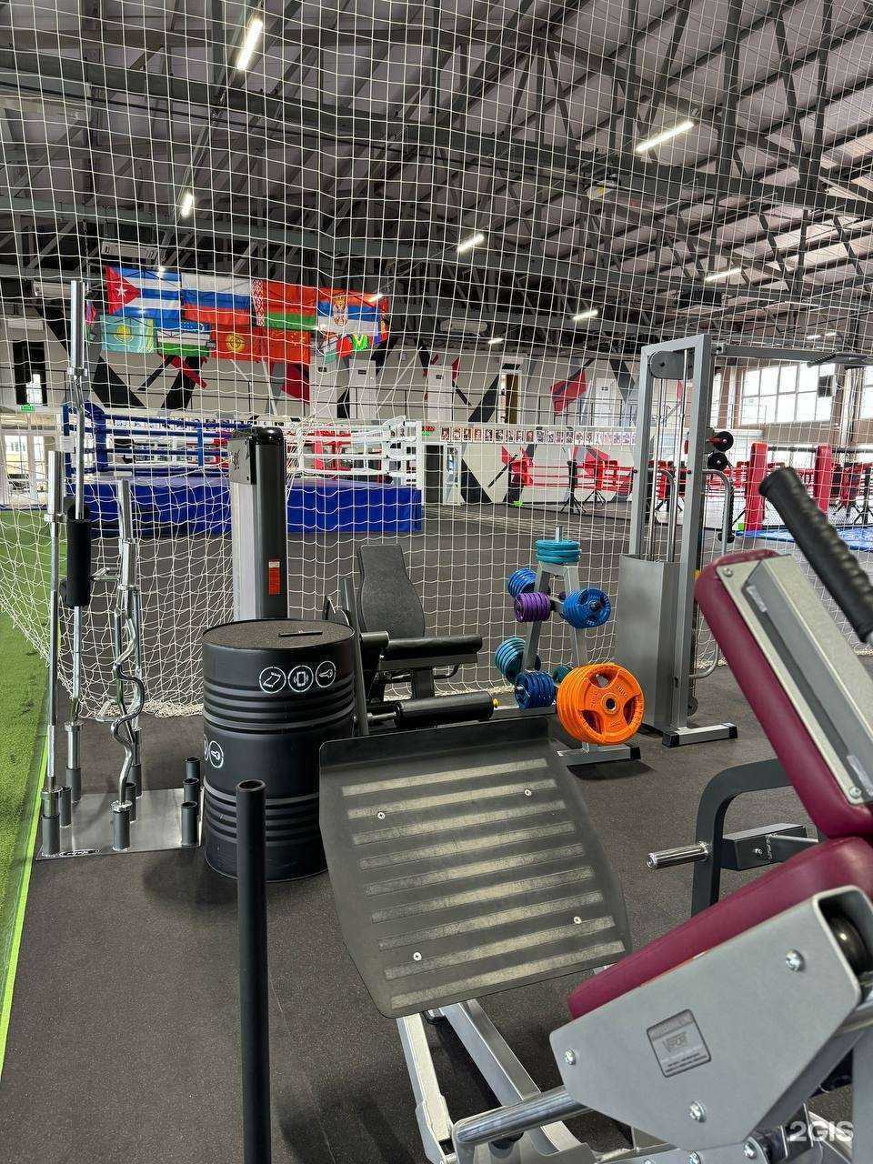 Отзывы на компанию Академия бокса и борьбы в г. Химки c фото