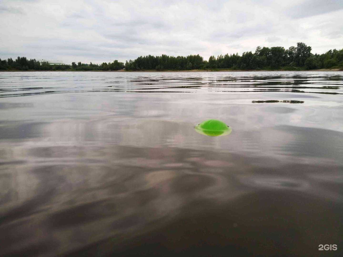Отзывы на компанию Белые медведи в Барнауле c фото