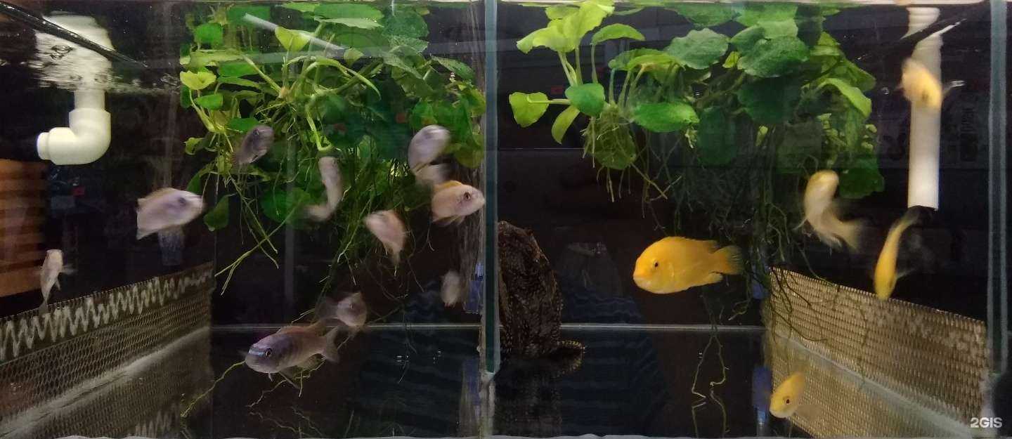 Отзывы на компанию Живой уголок в г. Новосибирск c фото