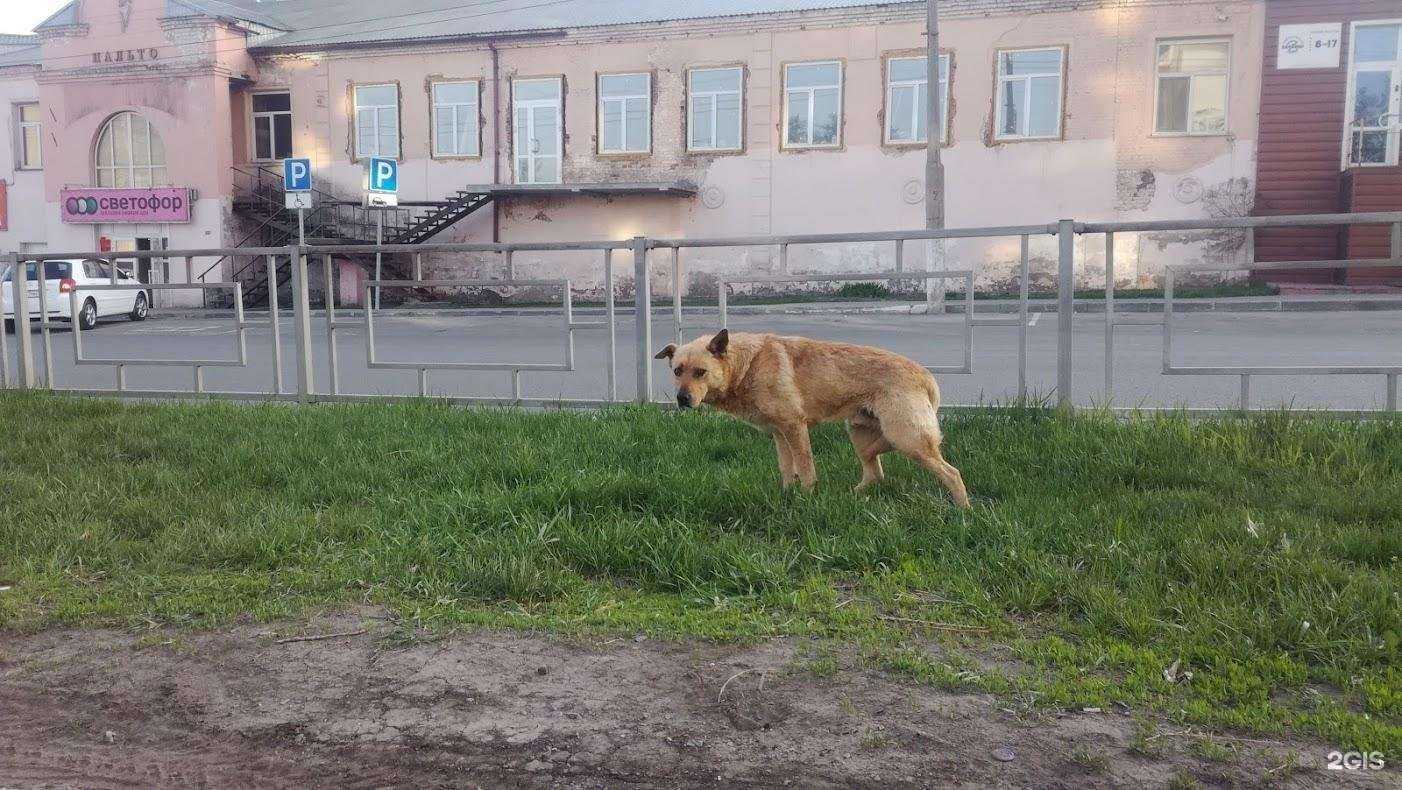 Отзывы на компанию Автотека в Барнауле c фото - фотография 2 из 2