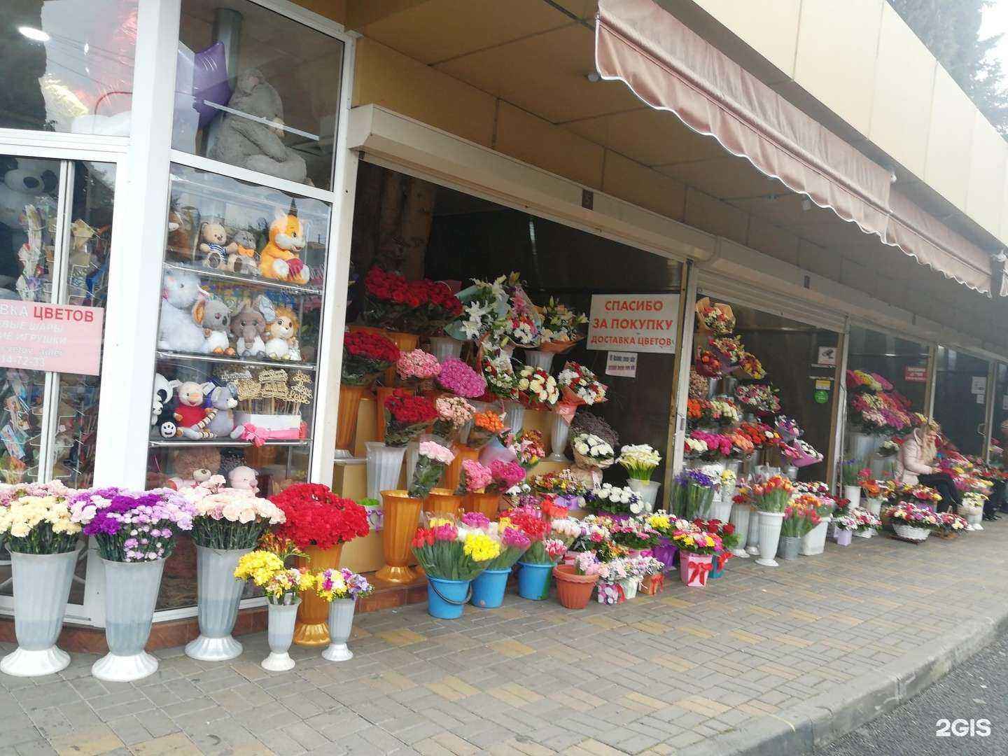 Отзывы на компанию Цветочный магазин в Сочи c фото