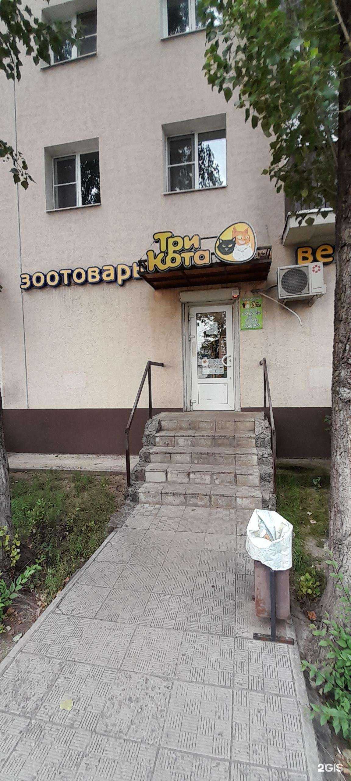 Отзывы на компанию Три кота в Воронеже c фото