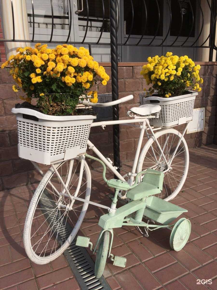 Отзывы на компанию Napoli в Волжском c фото