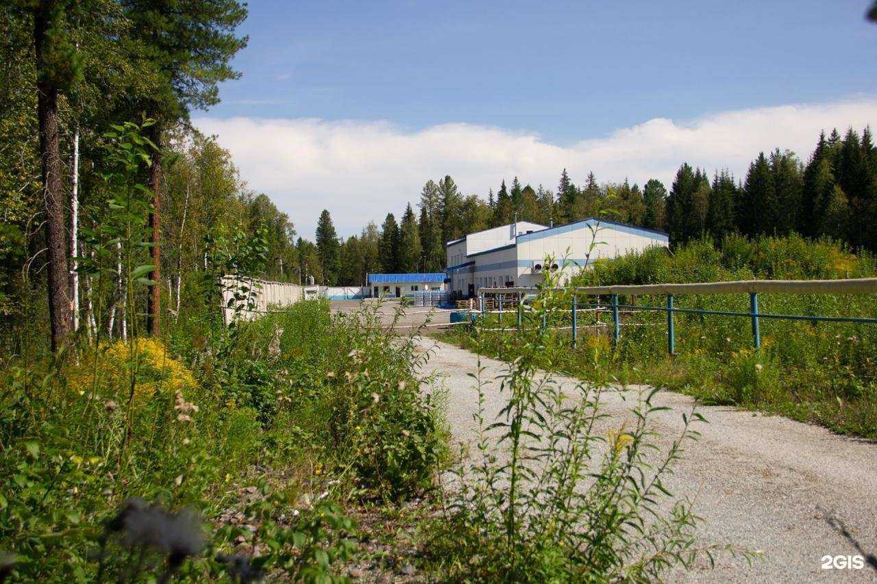 Отзывы на компанию Служба доставки воды в Новокузнецке c фото