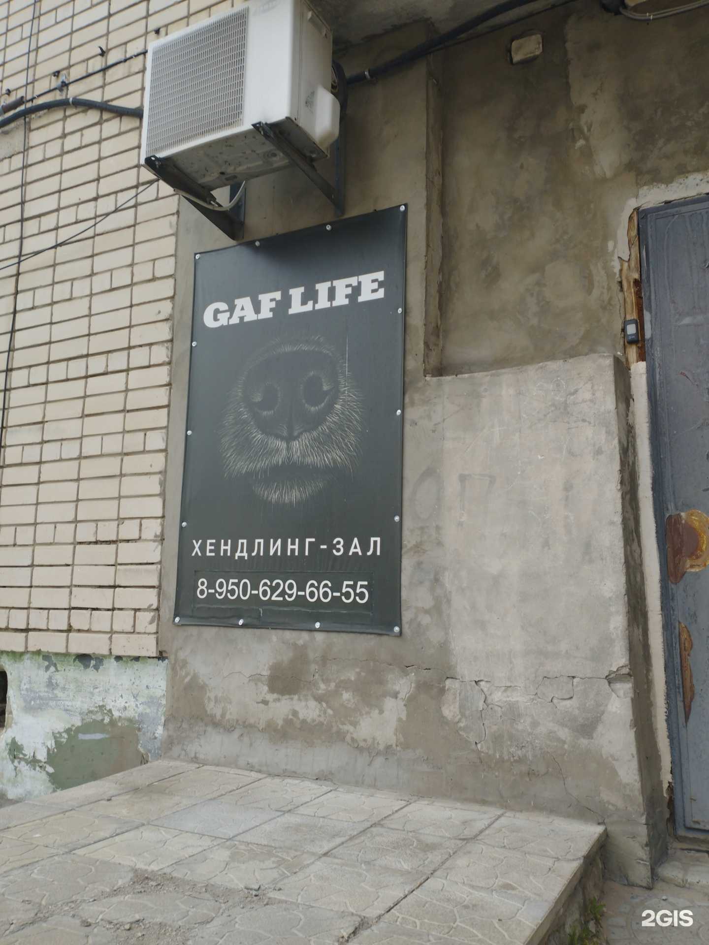 Отзывы на компанию Gaf Life в Дзержинске c фото