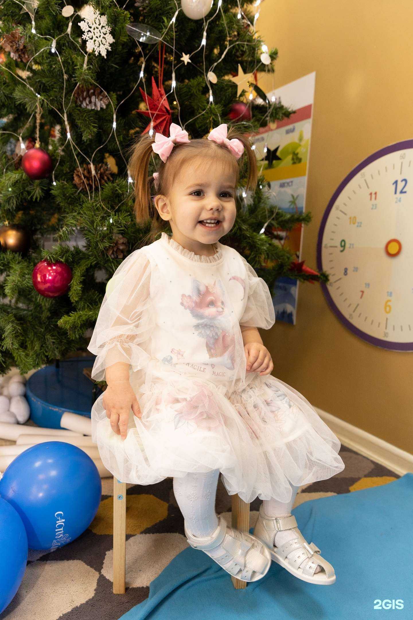 Отзывы на компанию Cactus club в г. Долгопрудный c фото