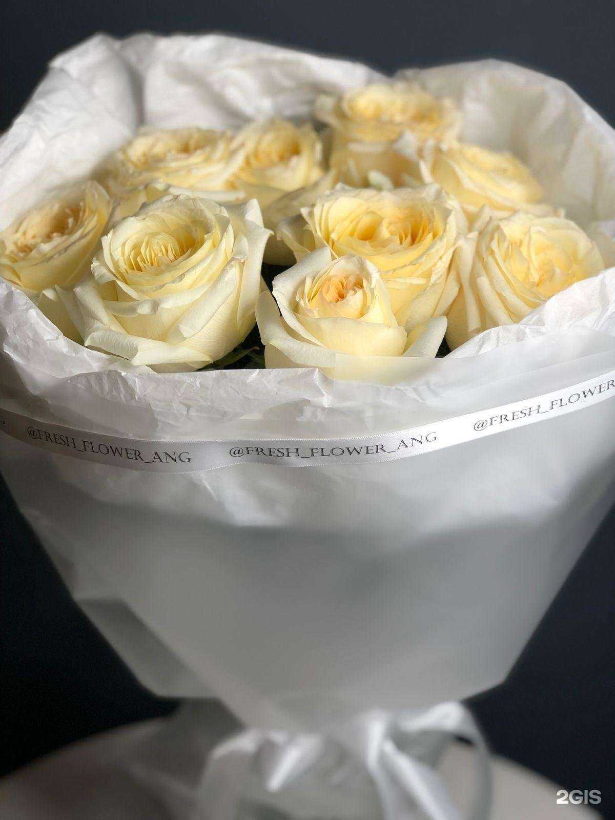 Отзывы на компанию Fresh в г. Ангарск c фото