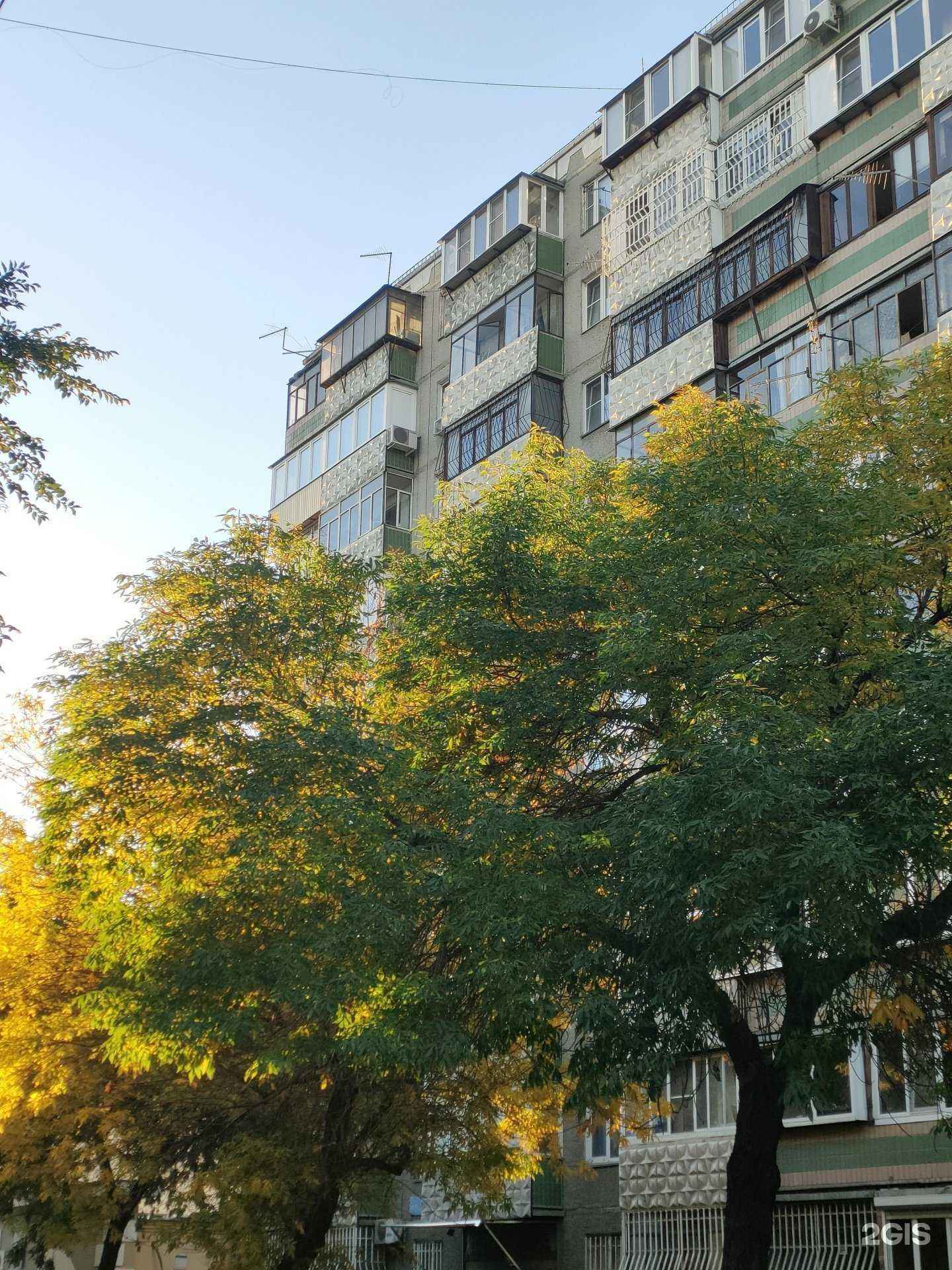 Отзывы на компанию Активити в Челябинске c фото - фотография 2 из 2