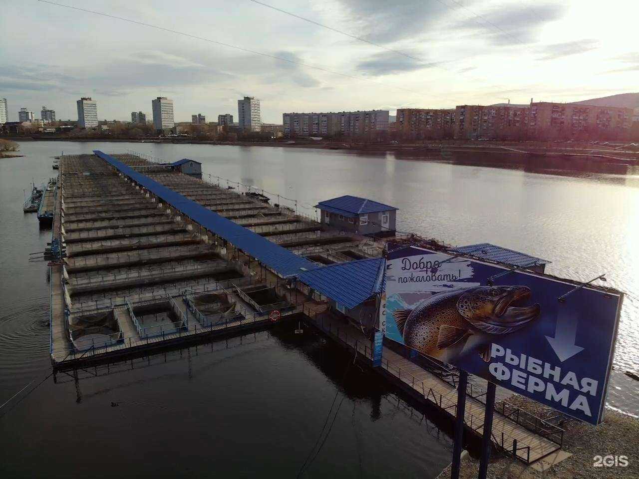 Отзывы на компанию Руслов в г. Красноярск c фото