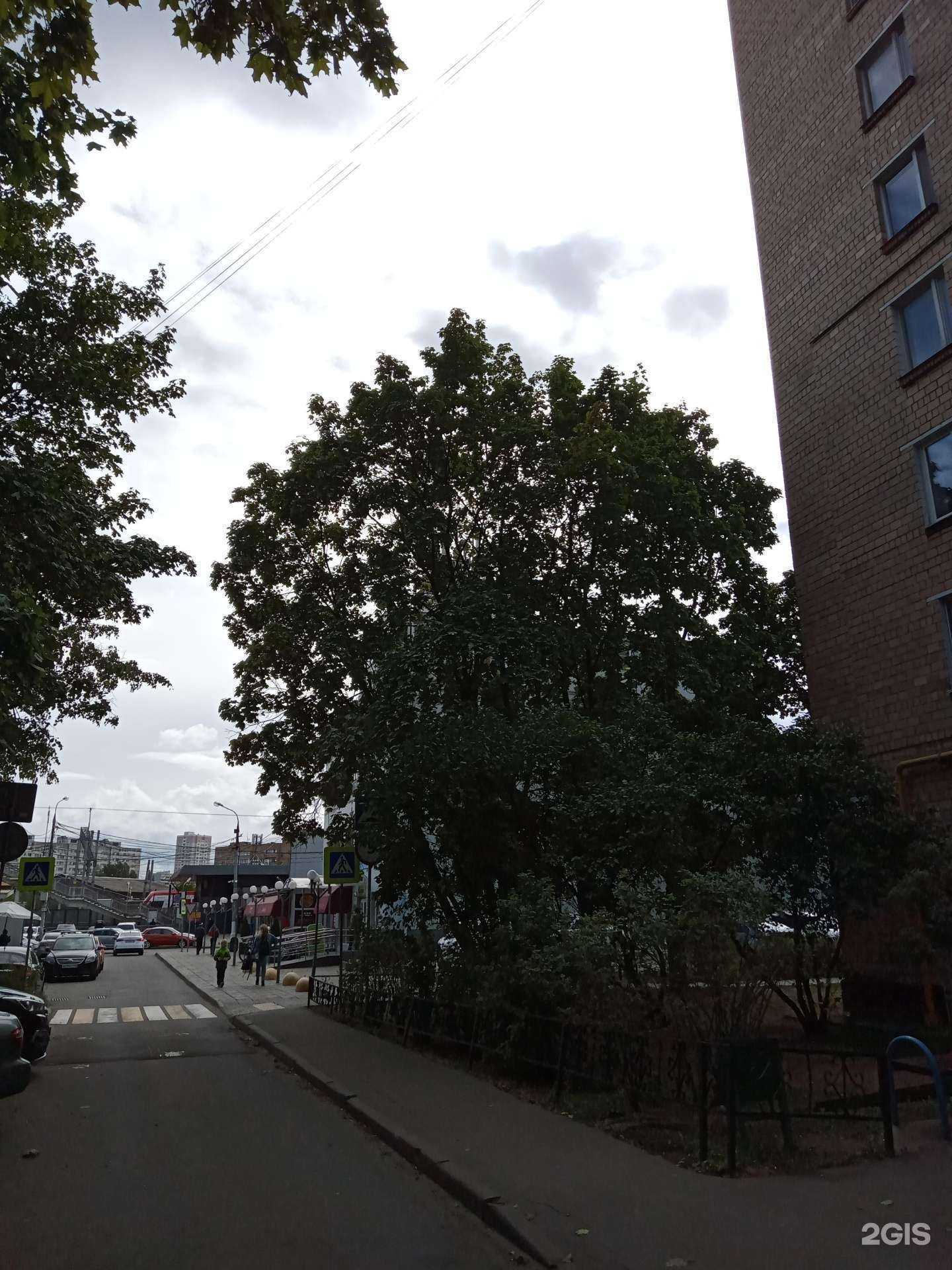 Отзывы на компанию Транспортная компания в г. Одинцово c фото