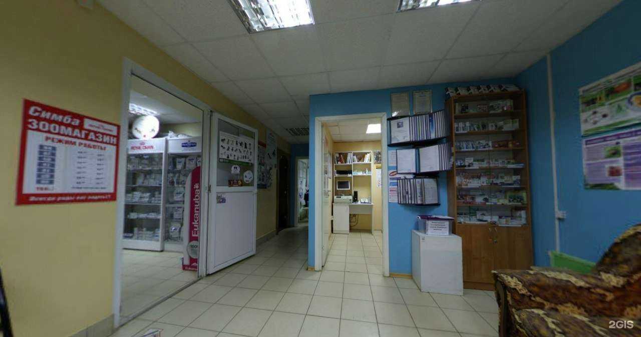 Отзывы на компанию Рыжий кот в Нижнем Новгороде c фото