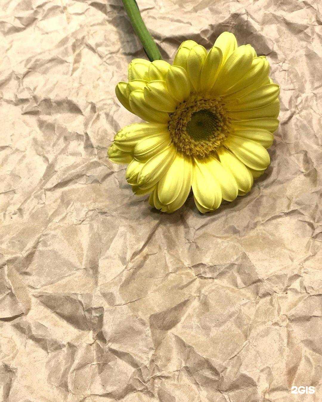 Отзывы на компанию Гранат в г. Череповец c фото