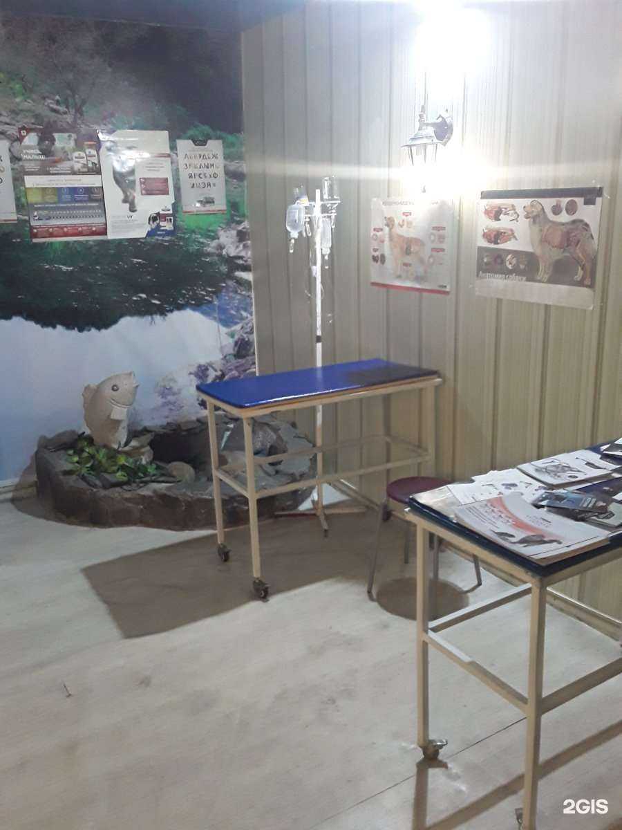 Отзывы на компанию Лаки в Иркутске c фото