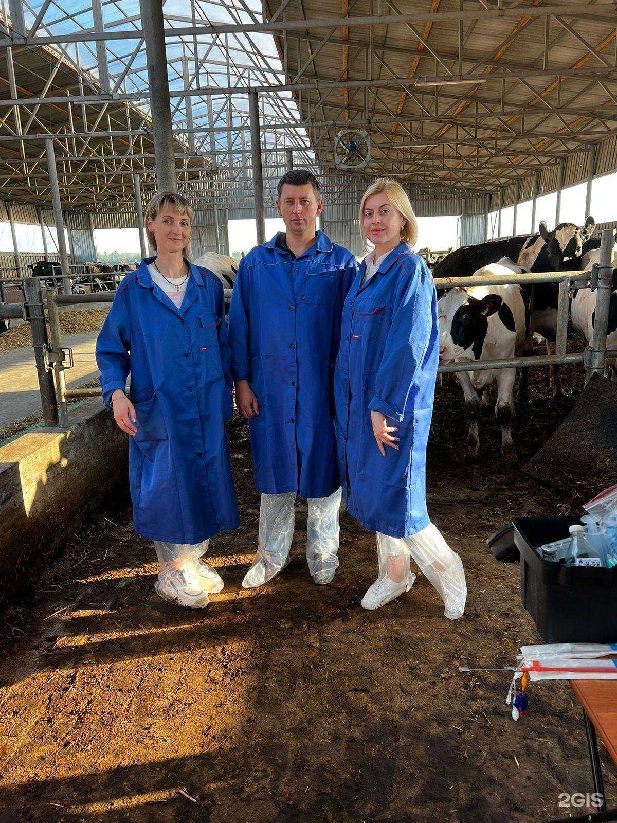 Отзывы на компанию Ветеринарная лечебница в Аксае c фото