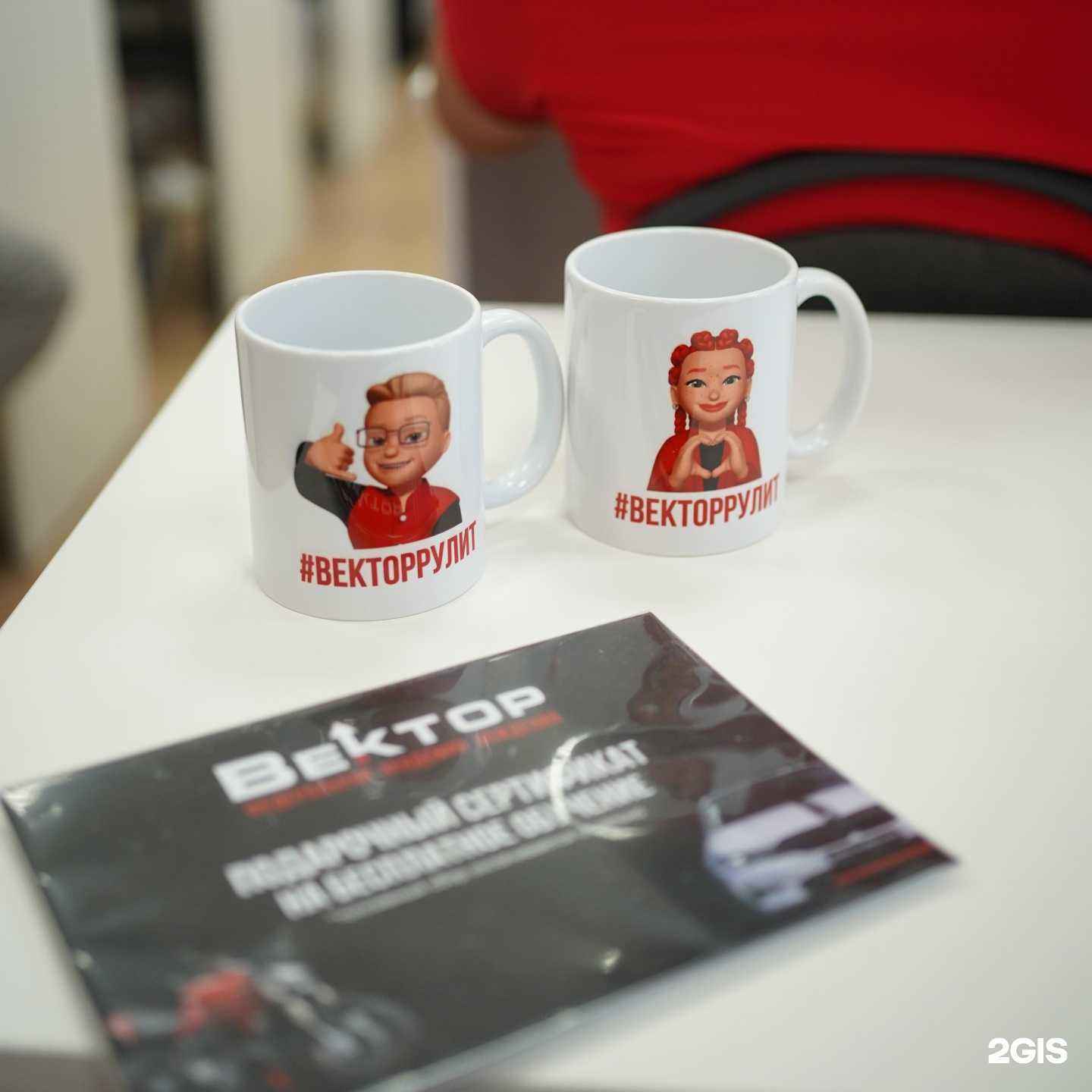 Отзывы на компанию Вектор в г. Калининград c фото