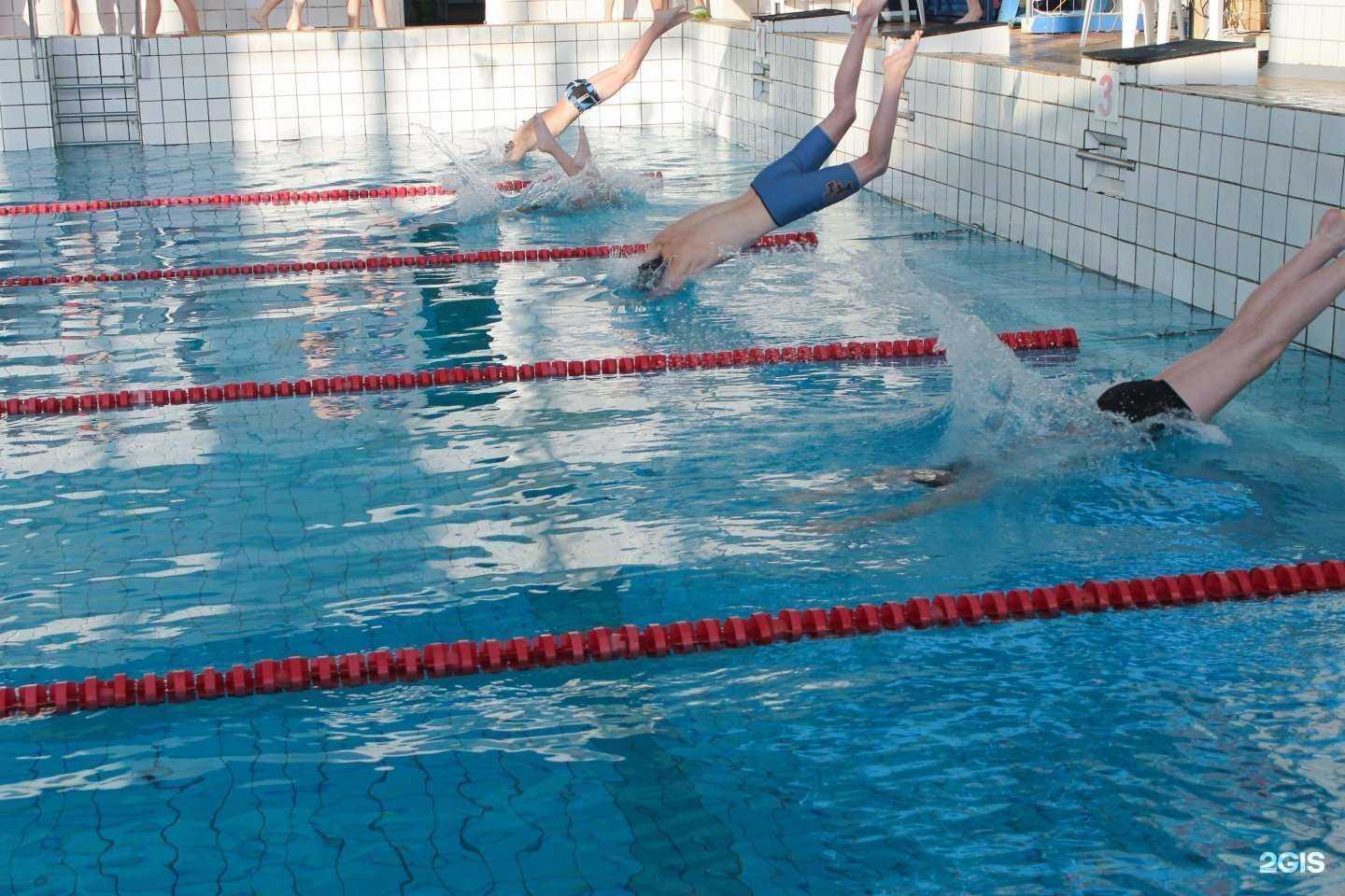 Отзывы на компанию Академия плавания в Омске c фото