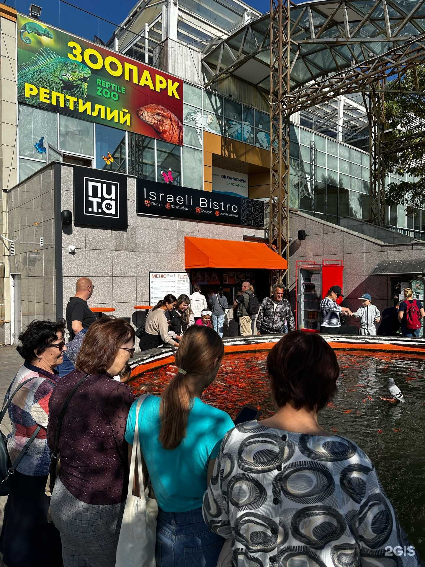 Отзывы на компанию Пита лаб в Владивостоке c фото