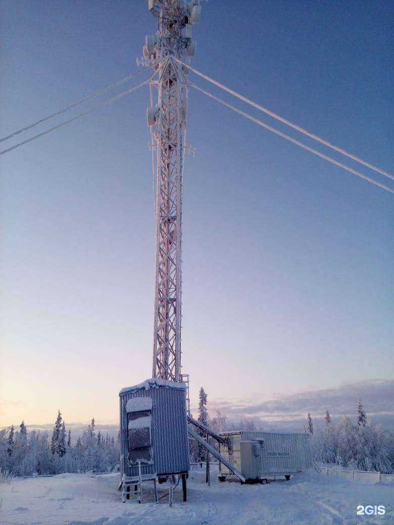 Отзывы на компанию Гаудич в г. Сыктывкар c фото