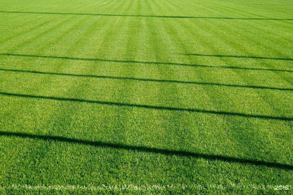 Отзывы на компанию Крона в Волгограде c фото