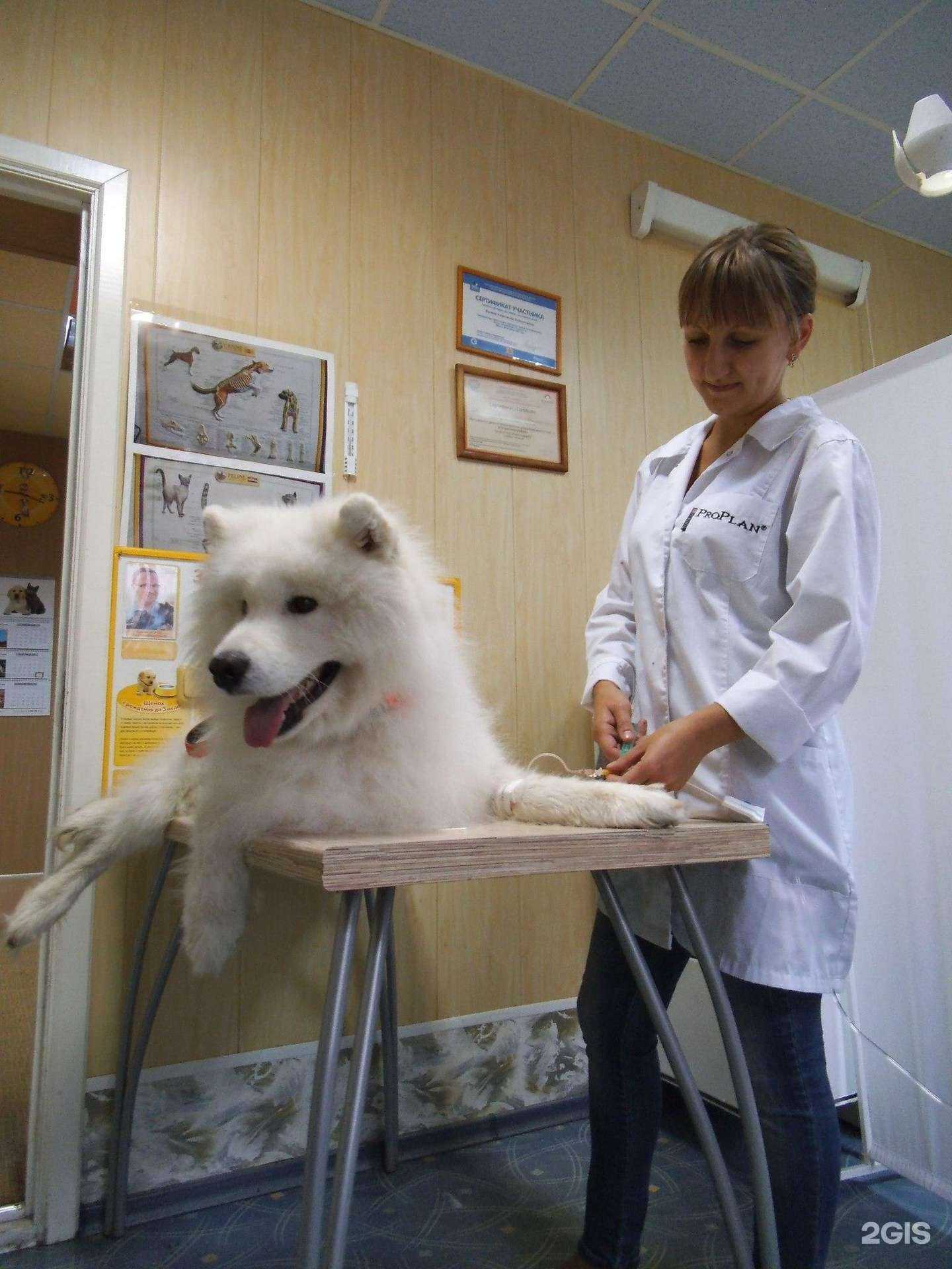 Отзывы на компанию Жизнь в Ульяновске c фото