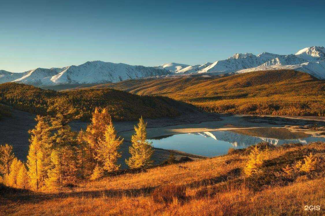 Отзывы на компанию Себер в г. Новосибирск c фото