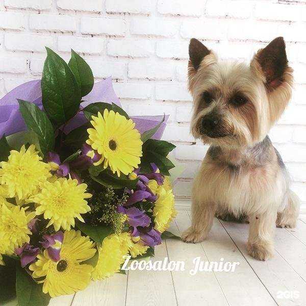 Отзывы на компанию Юниор в г. Реутов c фото