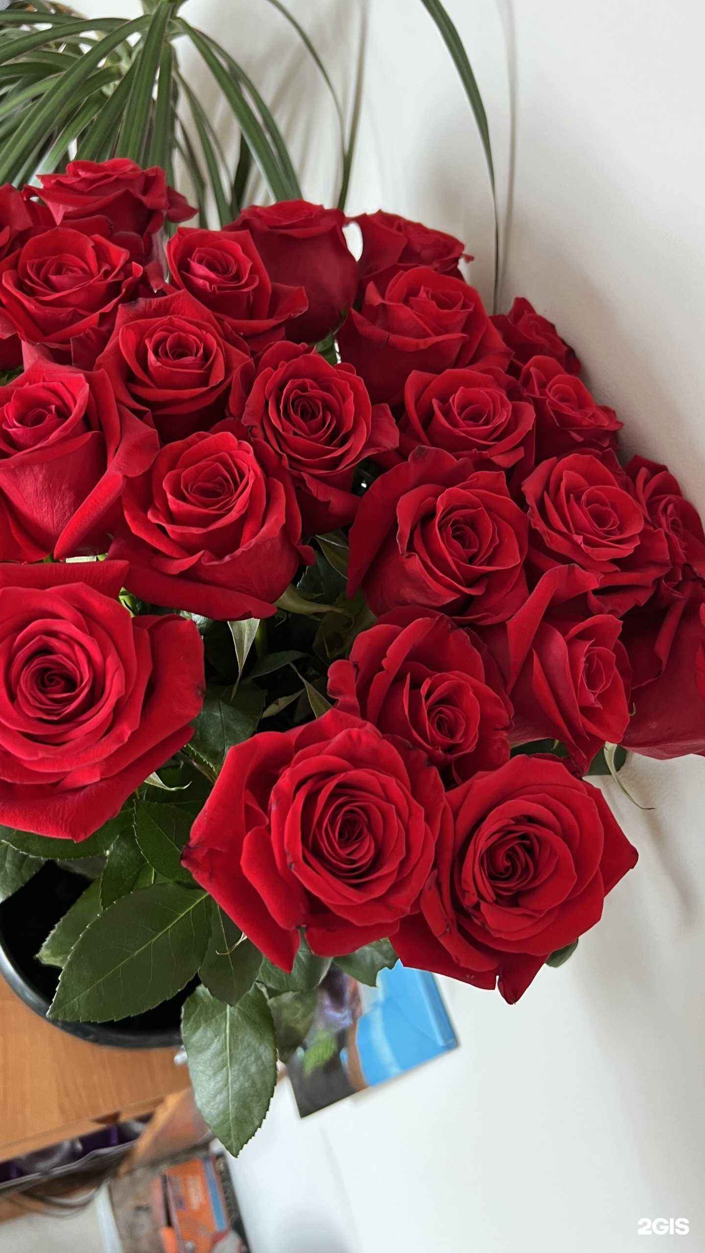 Отзывы на компанию ЦВЕТОЧНАЯ БАЗА №1 в г. Кемерово c фото