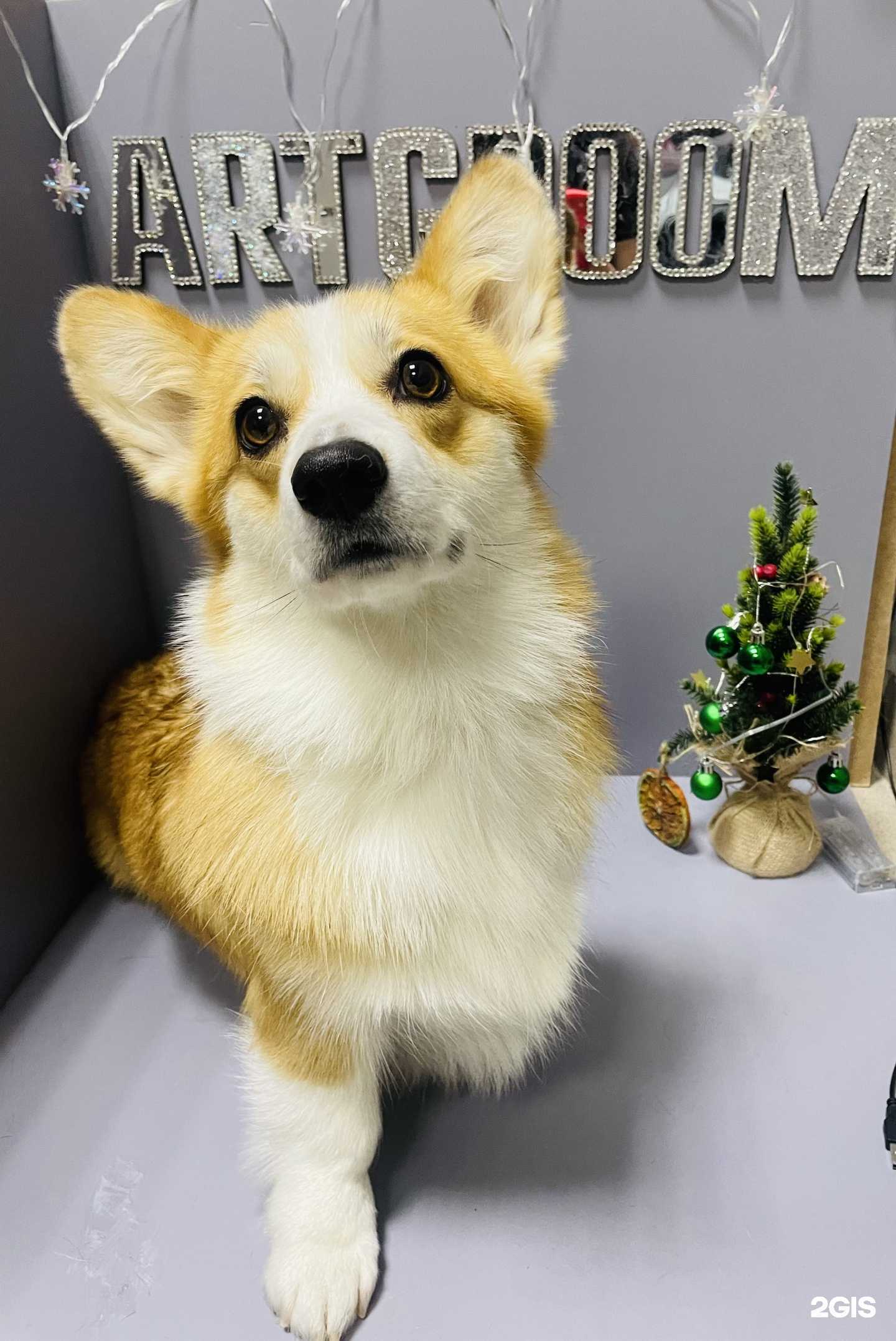 Отзывы на компанию ArtGroom в Казани c фото